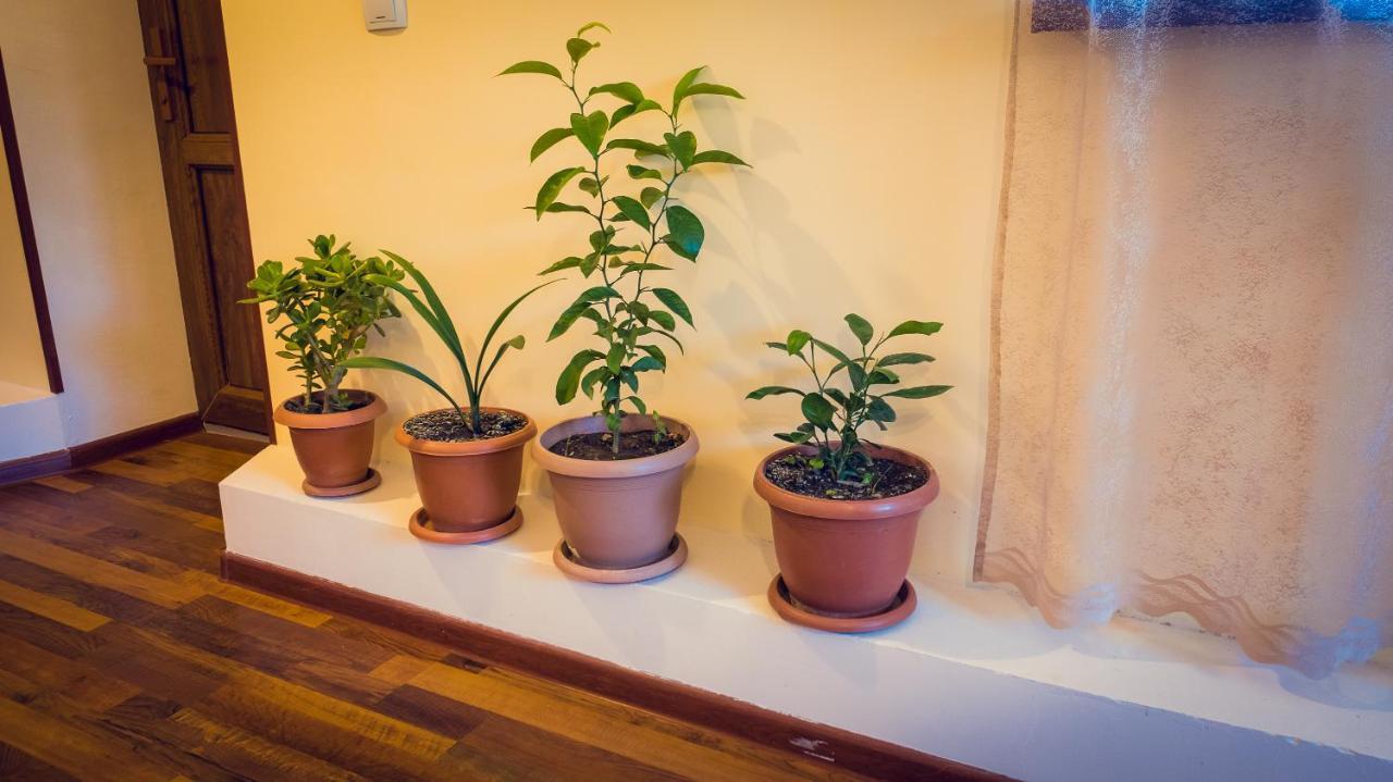 Amoj B&B And Guest House Alaverdi Ngoại thất bức ảnh