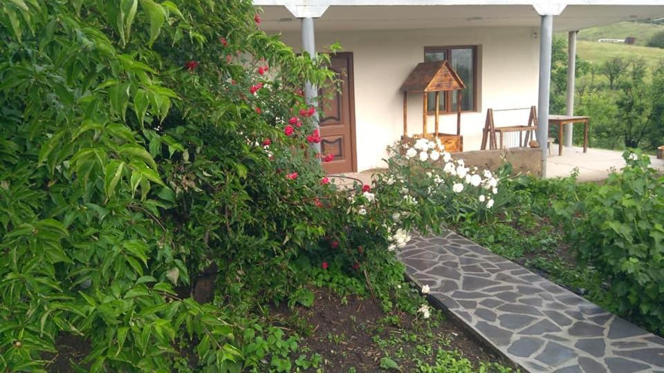 Amoj B&B And Guest House Alaverdi Ngoại thất bức ảnh